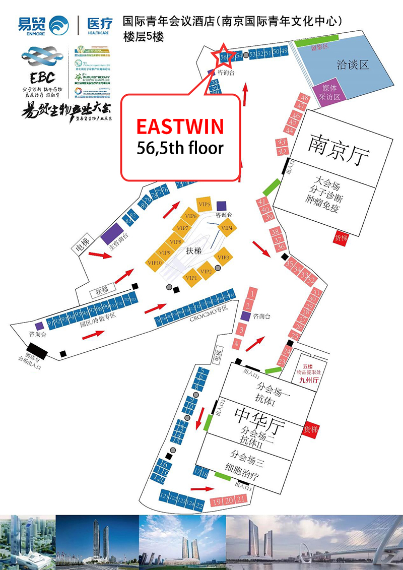 大象视颇dxvv55xyz