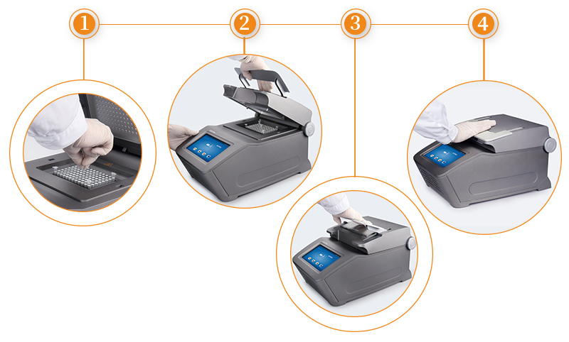 大象视颇dxvv55xyz