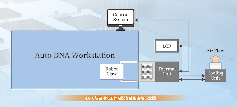 大象视颇dxvv55xyz