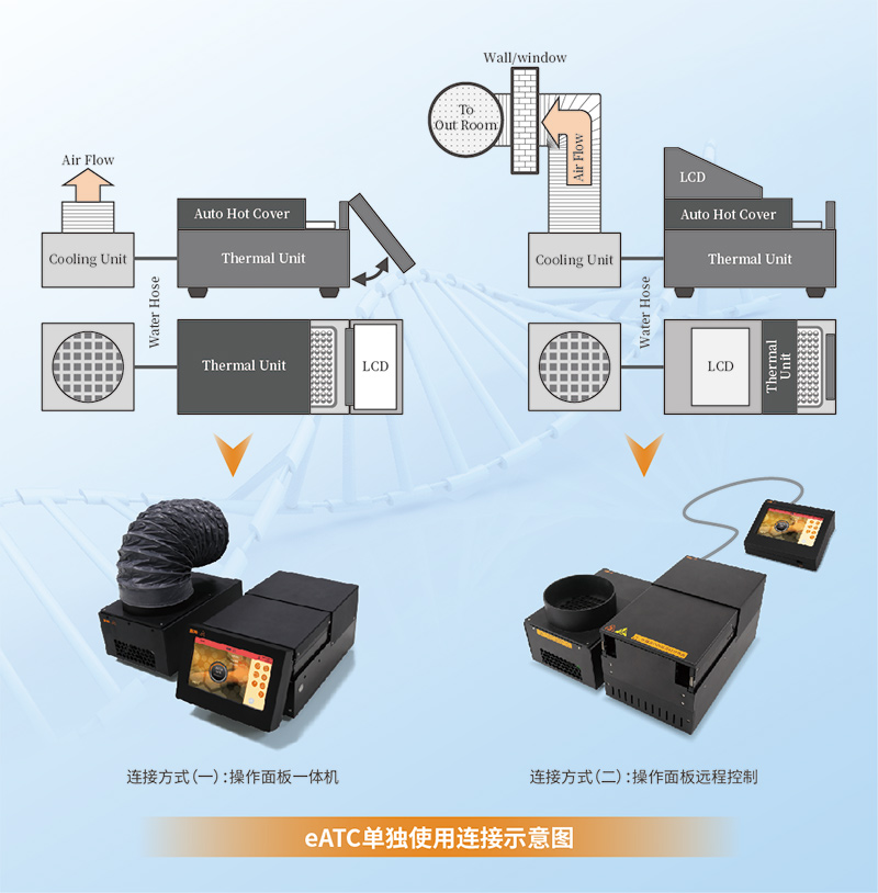 大象视颇dxvv55xyz