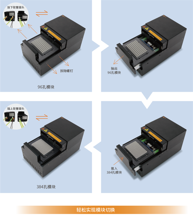 大象视颇dxvv55xyz