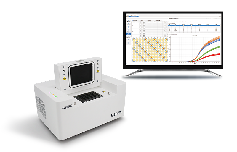 大象视颇dxvv55xyz