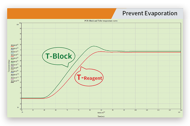 大象视颇dxvv55xyz