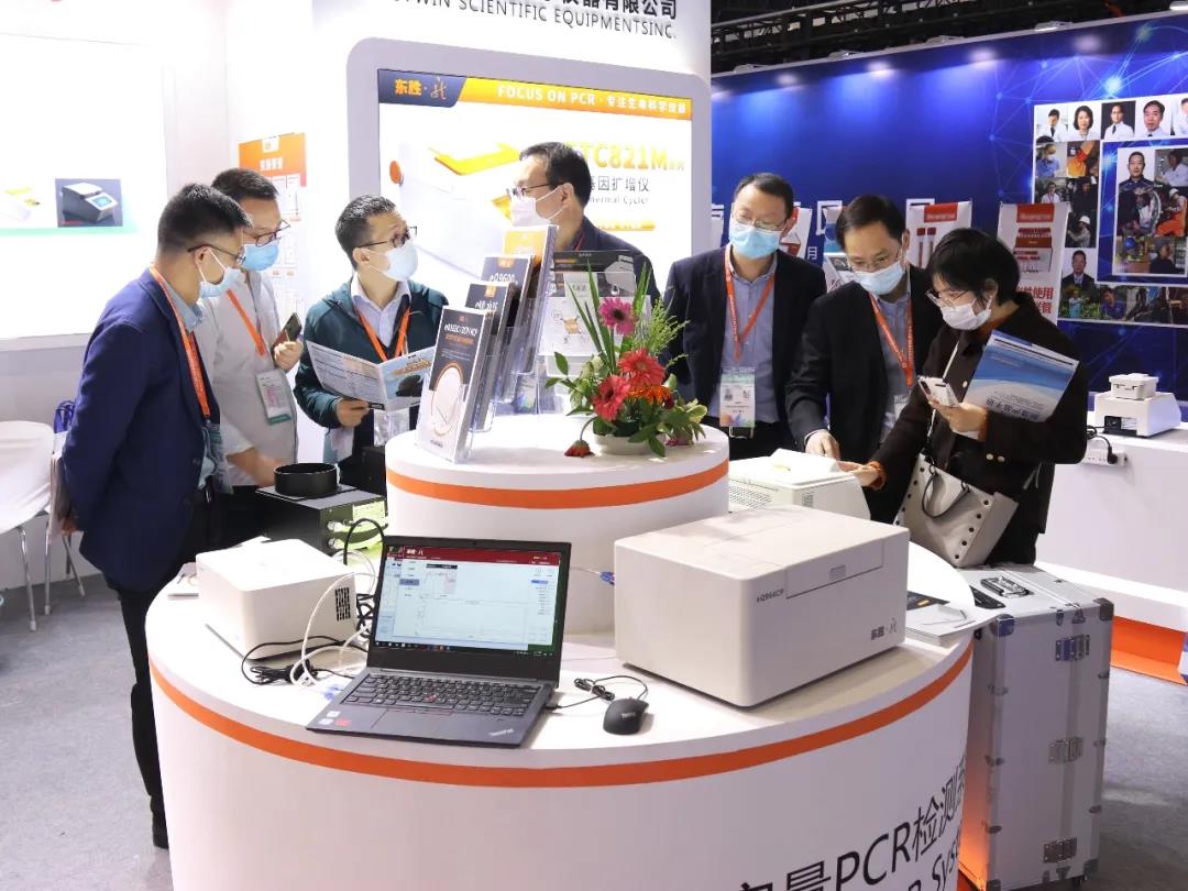 大象视颇dxvv55xyz