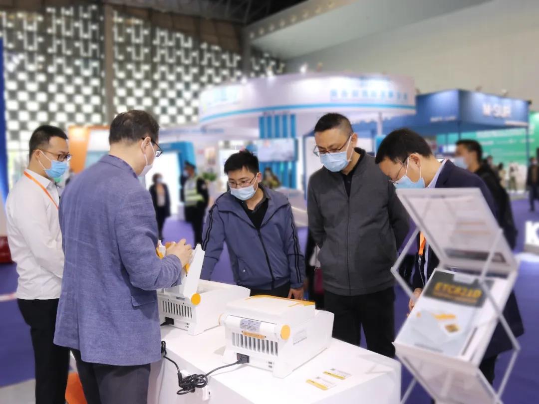 大象视颇dxvv55xyz