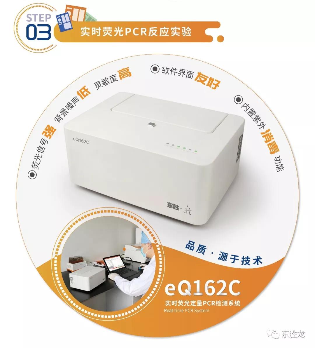 大象视颇dxvv55xyz