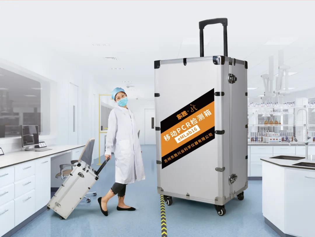 大象视颇dxvv55xyz