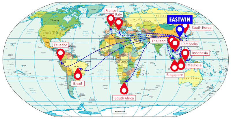 大象视颇dxvv55xyz