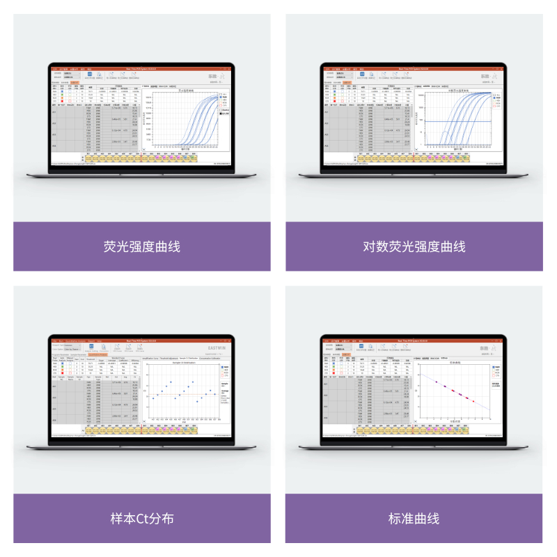 大象视颇dxvv55xyz