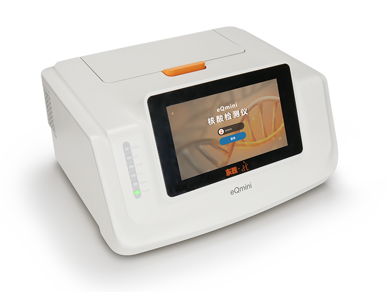 大象视颇dxvv55xyz