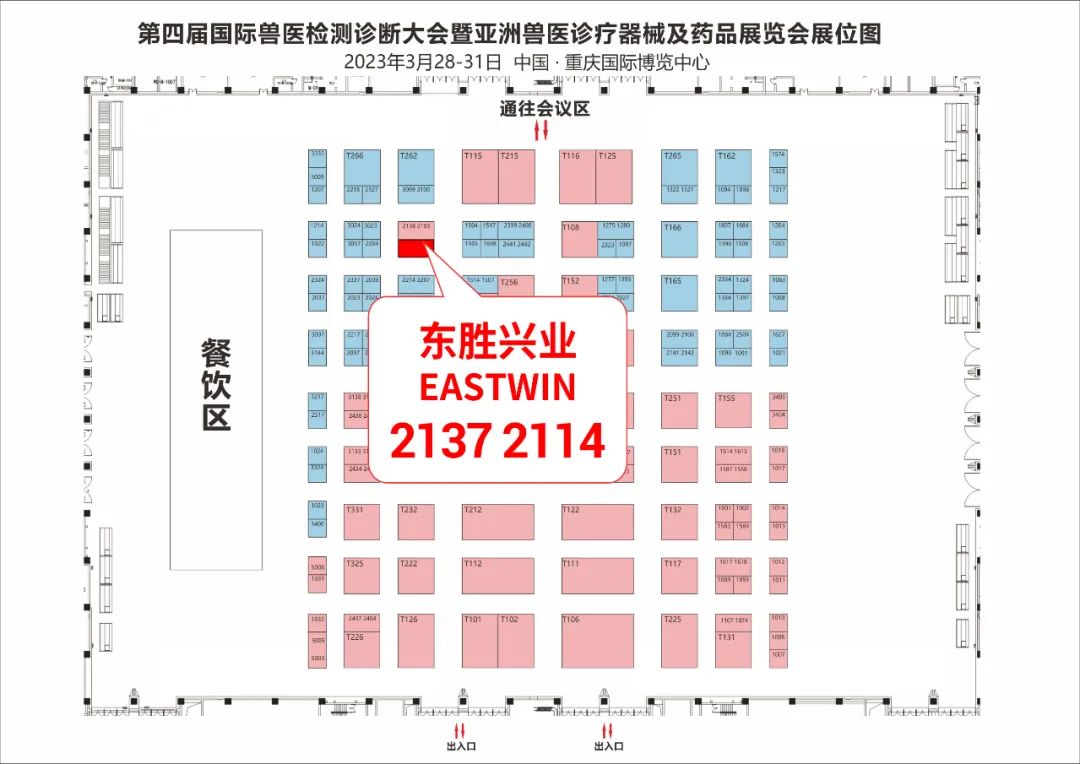 大象视颇dxvv55xyz