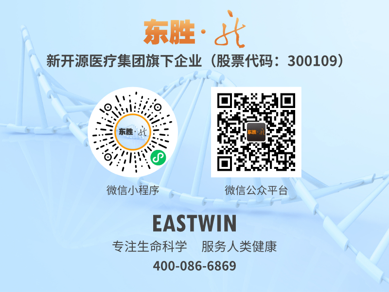 大象视颇dxvv55xyz