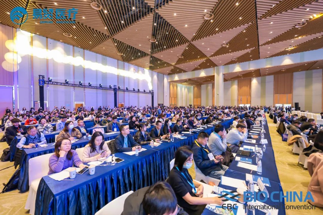 大象视颇dxvv55xyz