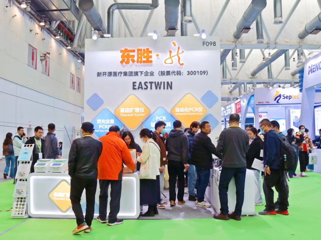 大象视颇dxvv55xyz