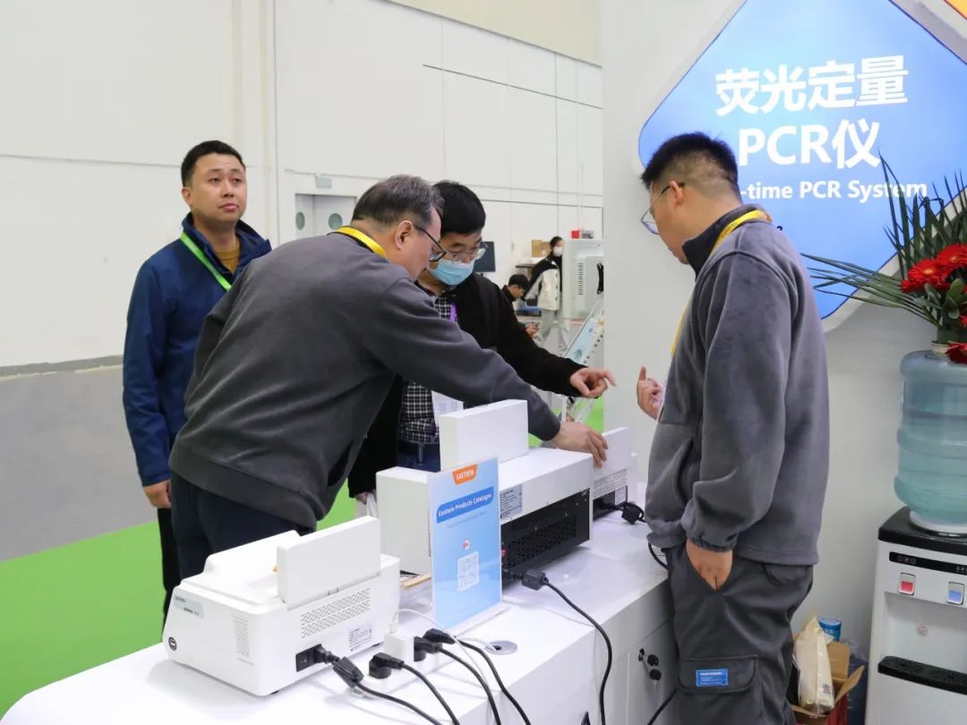 大象视颇dxvv55xyz