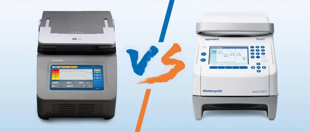 大象视颇dxvv55xyz