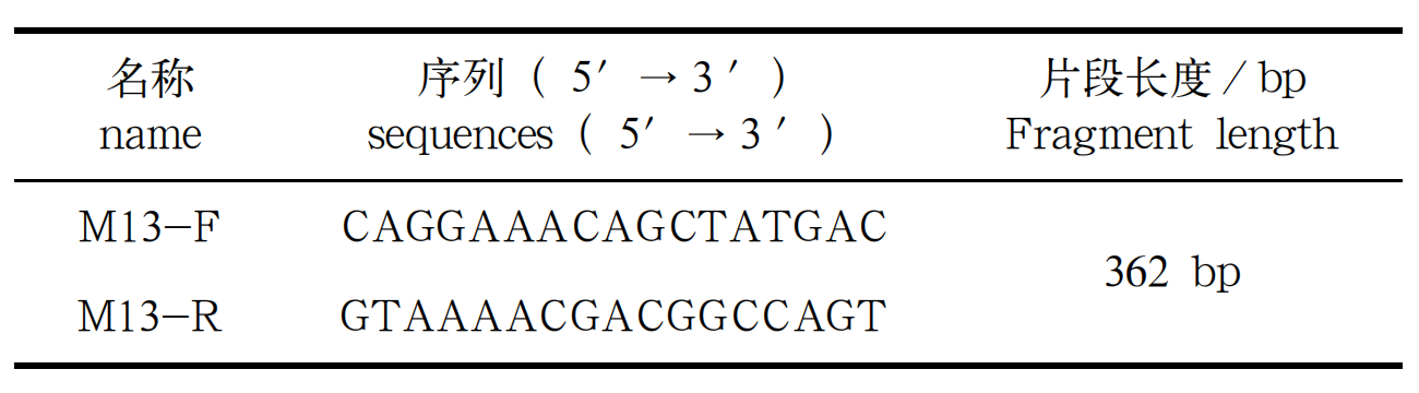 大象视颇dxvv55xyz