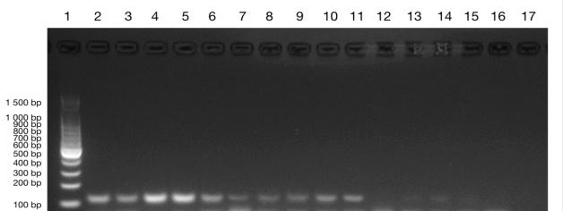 大象视颇dxvv55xyz
