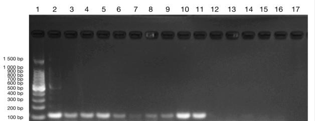 大象视颇dxvv55xyz