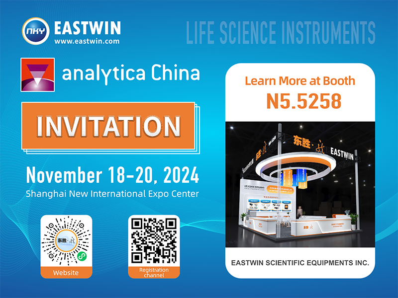 大象视颇dxvv55xyz