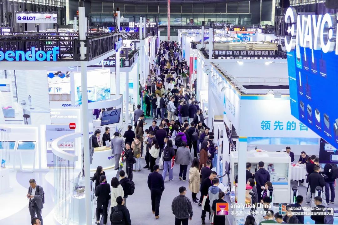 大象视颇dxvv55xyz