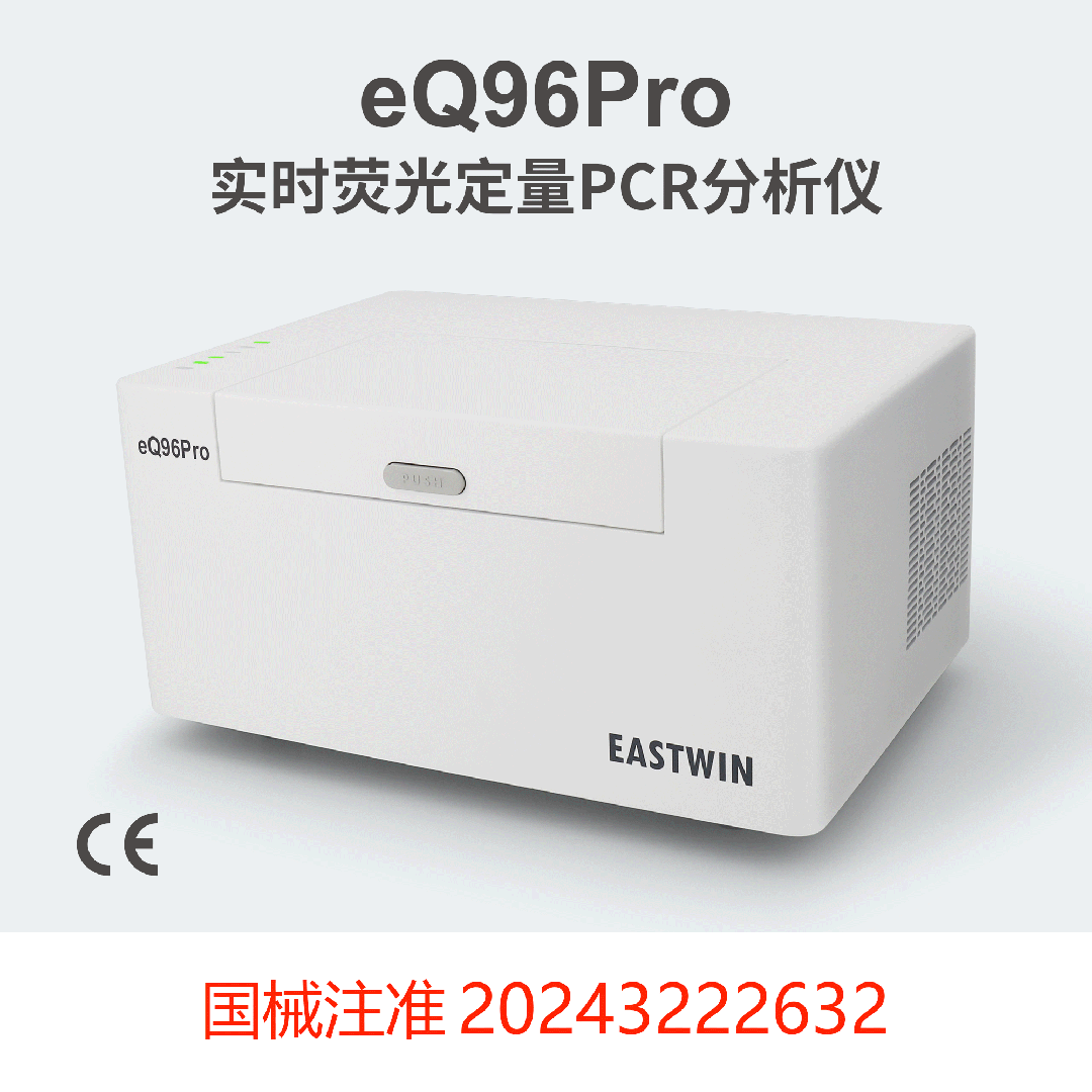 大象视颇dxvv55xyz