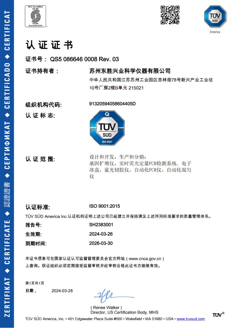 大象视颇dxvv55xyz