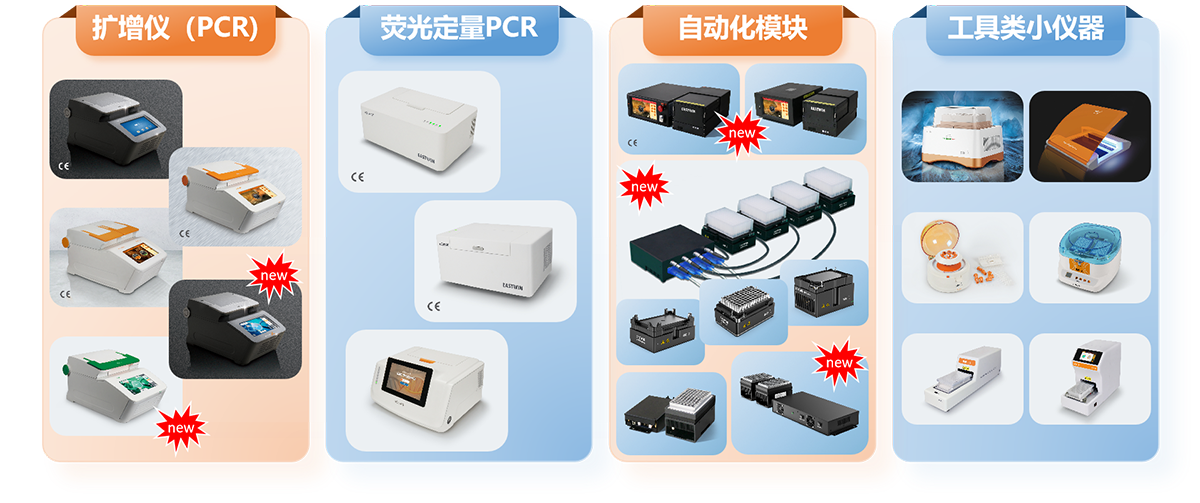 大象视颇dxvv55xyz