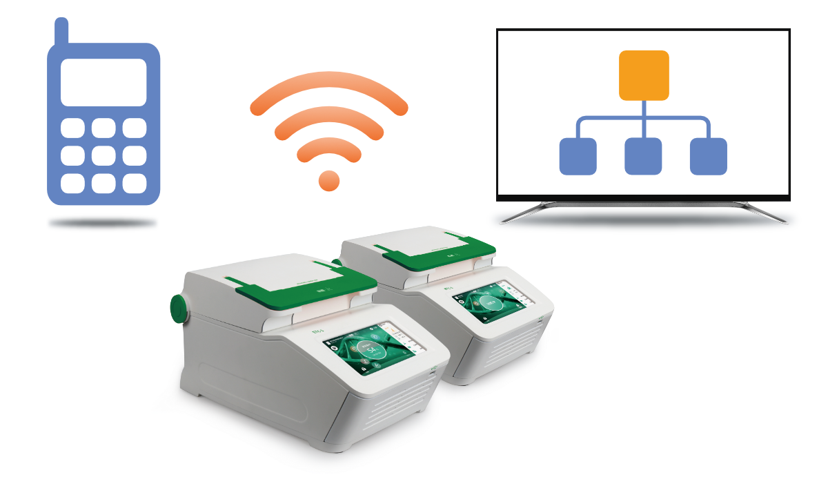 大象视颇dxvv55xyz