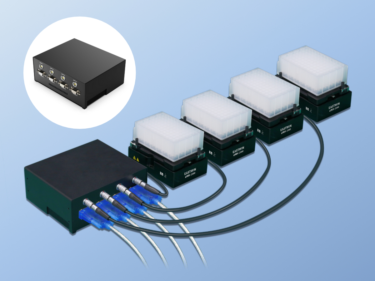 大象视颇dxvv55xyz